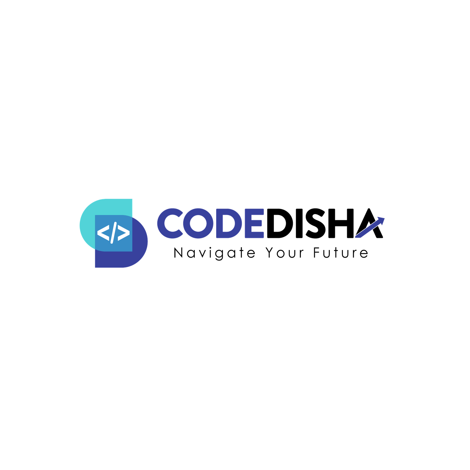 CodeDisha IT Training & Placement institute